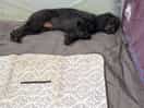 Worn out