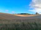 View from site