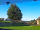 View out of my campervan window.