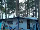 Pitched among the pine trees