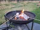 Toasting marshmallows