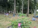 Woods with mini golf and zip line