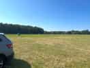 Second field