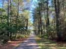 Cycling to the nearby lake, beautiful scenery