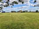 The site