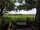 View from the shack