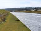 River full of fish