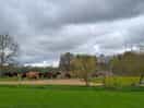 The cows going out to pasture