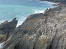 Bull bay