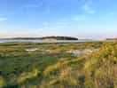 Wetland for birds