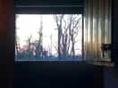 View from the door
