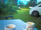 Morning tea