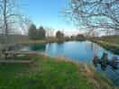 Pond