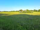 Walk to pub