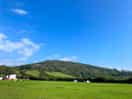 Clear morning view