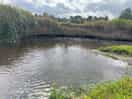 River behind caravan