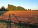 A nearby walk in some fields at sunset