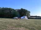 Field