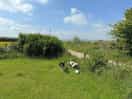 Site
