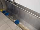 Urinals