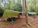 Adam's camp