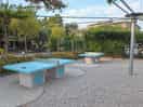Table tennis.