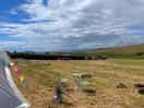View from dinky delilah bell tent