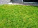 Slope down to awning where i slipped down on the wet grass