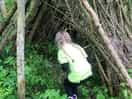 In the woodland area