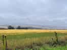 We had constant rain and wind 16mph