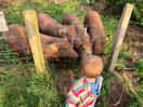 Making friends with the residents on the farm