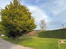 Site