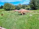 Dino