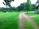 Around site