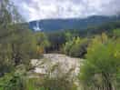 Views of river