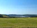 Dog walk field with tent field below