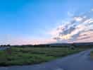 Evening stroll on castlemorton common