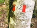 1 van de wandel routes