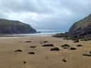 Beach tide out