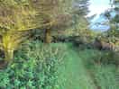 Walk around the site