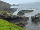 Doing a sea watch from lizard point watching shearwaters