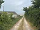 Driveway/road into the campsite