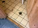 Floor in shower