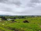 Lovely view from the hill