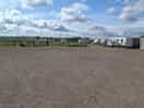 The site