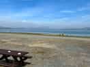 Estuary view