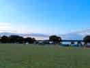 The view