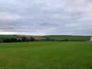 The view