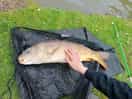 First fish