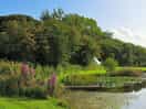 This is the lily pond, you can just see our van in the trees